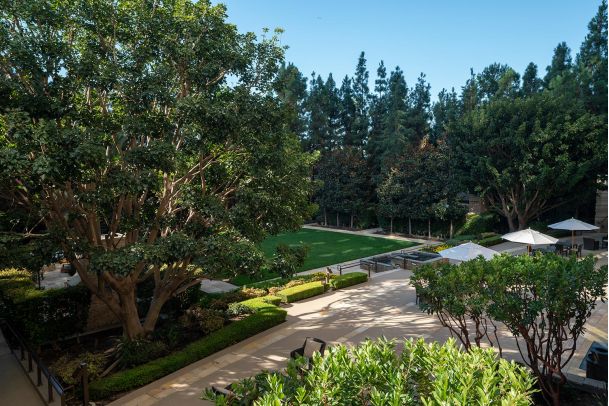 Elevated view of a lush green courtyard with large trees and white patio umbrellas