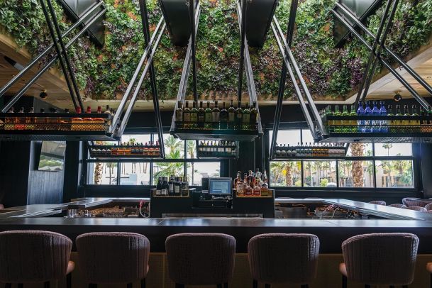 Upscale bar with hanging liquor shelves and a decorative vertical plant wall on the ceiling